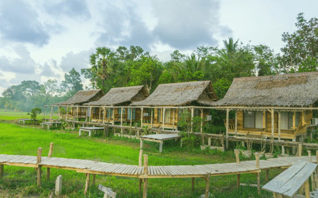 Xu hướng “bỏ phố về vườn” xây homestay, farmstay: Những người đầu tư nghiêm túc thì dù thất bại, 5 năm sau giá đất vẫn tăng gấp đôi